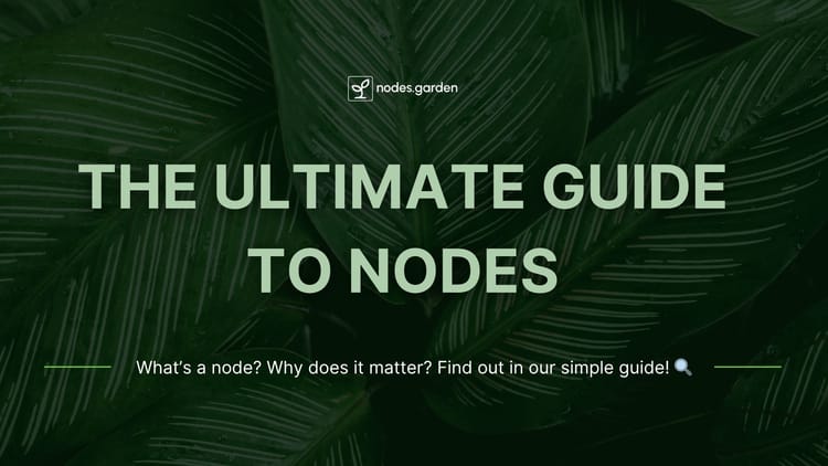 The Ultimate Guide to Nodes