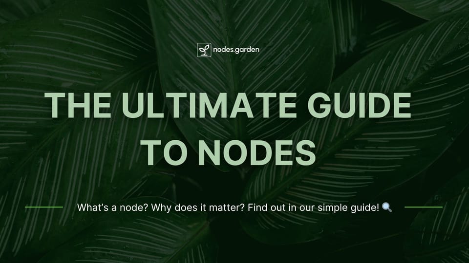 The Ultimate Guide to Nodes